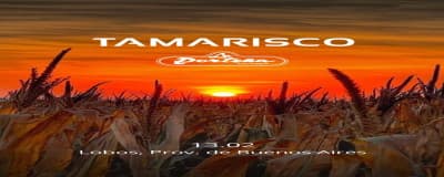 imagen del evento: LA PORTEÑA X TAMARISCO