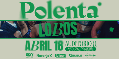 PROYECTO POLENTA cover image