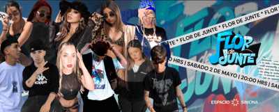 Flor de Junte cover image