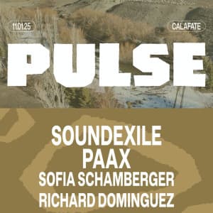 imagen del evento: PULSE 2025 | SOUNDEXILE - PAAX TULUM