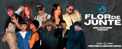 Flor de Junte cover image