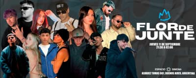 Flor de Junte cover image
