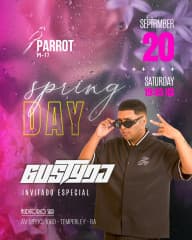 Spring Day GustyDJ Parrot cover image