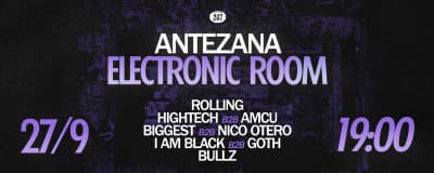 Antezana electronic room cover image