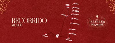 TRASLADO OFICIAL PROMISE NAVIDAD 2025 cover image