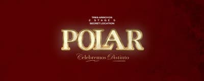 POLAR Open Air cover image