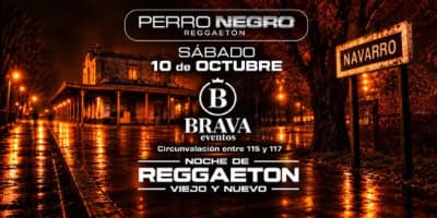 Perro negro X Gabana multiespacio (Navarro) cover image