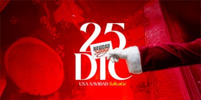 Navidad Salvage cover image